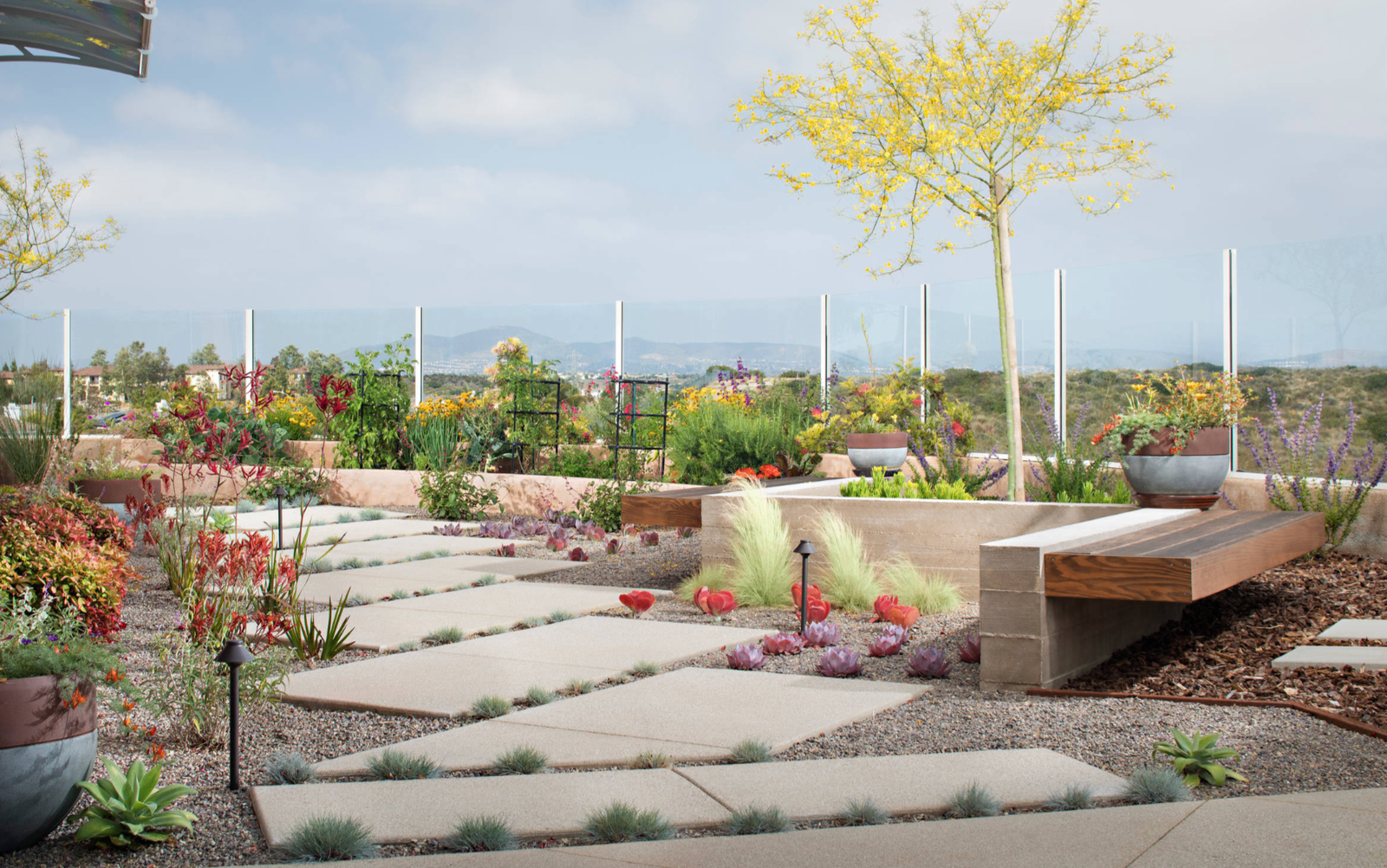 Xeriscape garden with native plantings and timber bench